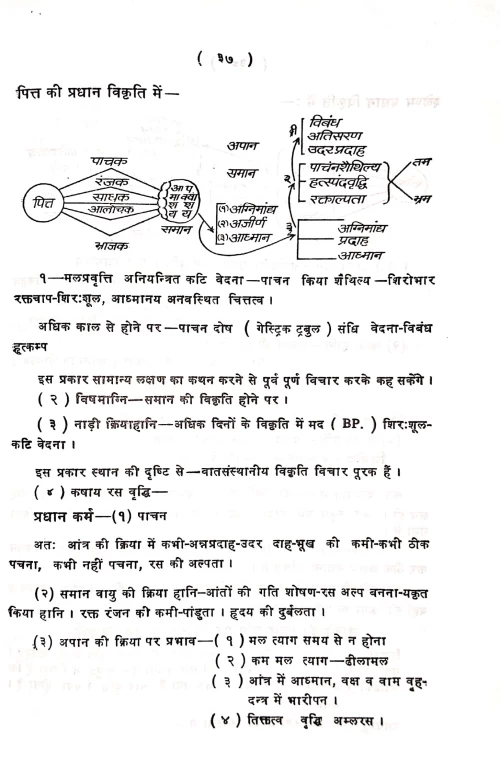 Abhinava Nadi Tantra